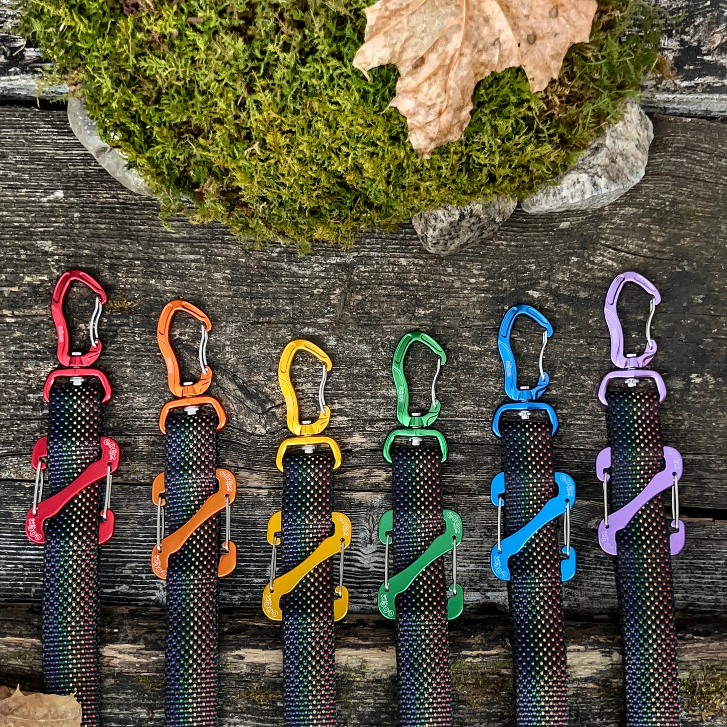 COCO webbing color black and rainbow selection