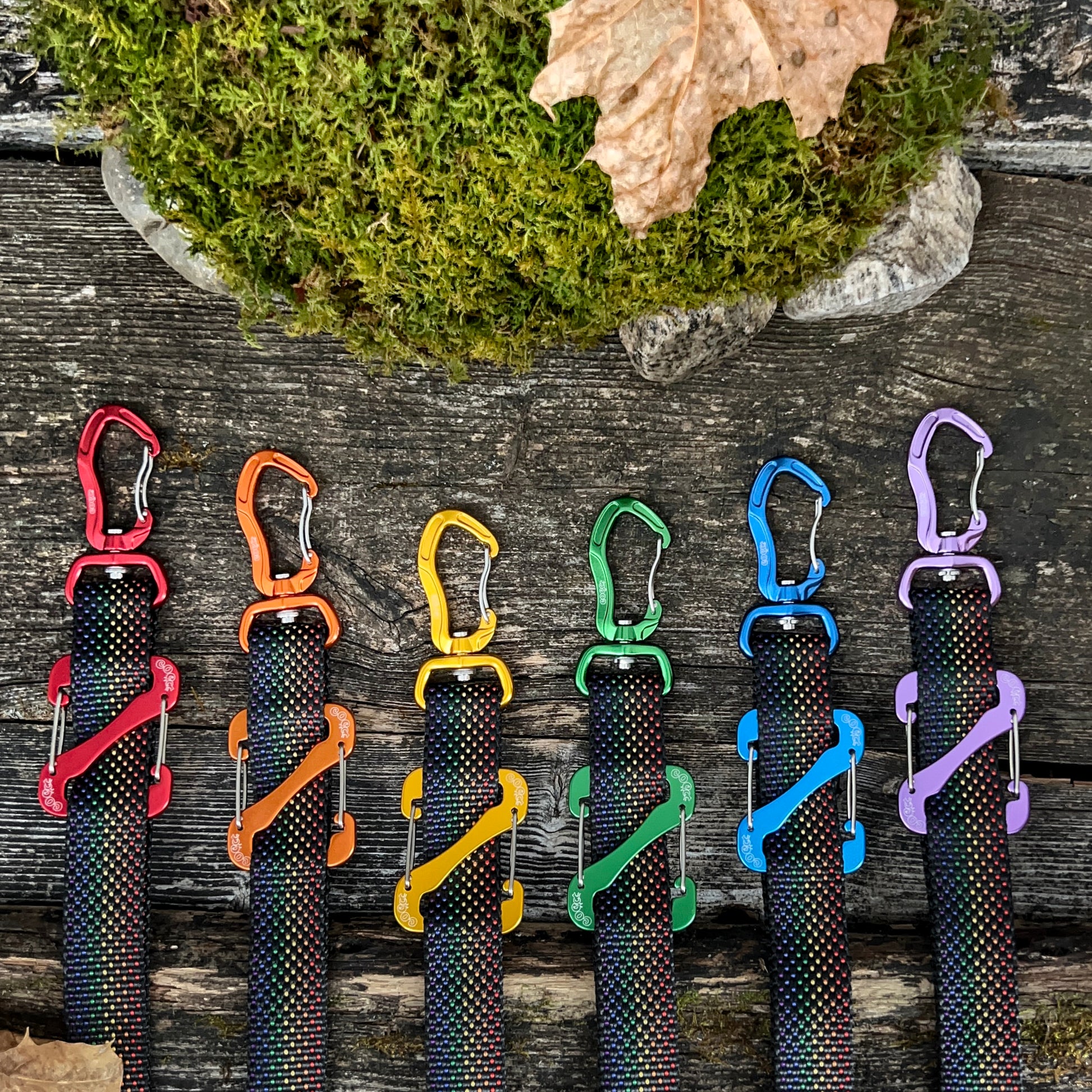 COCO webbing color black and rainbow selection