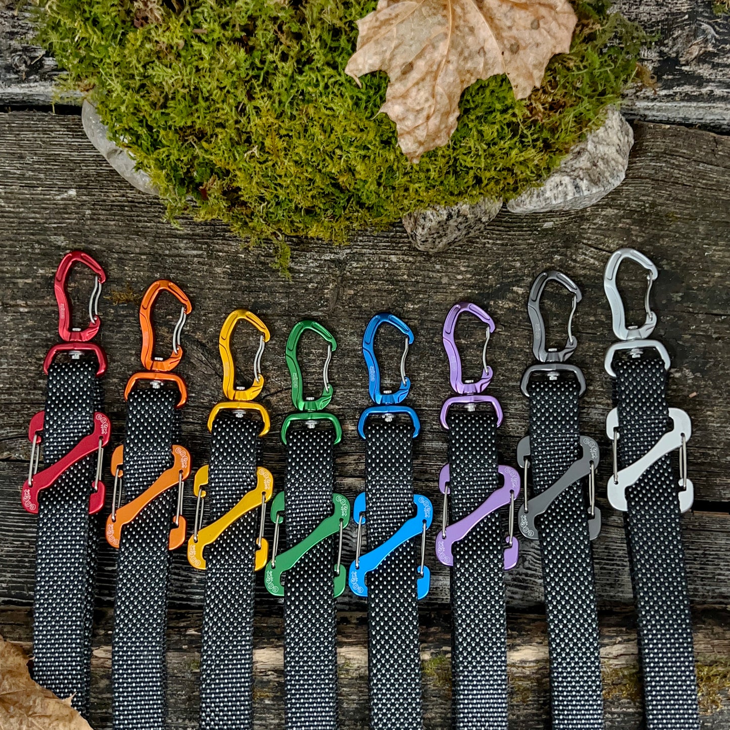 COCO webbing color black and white selection