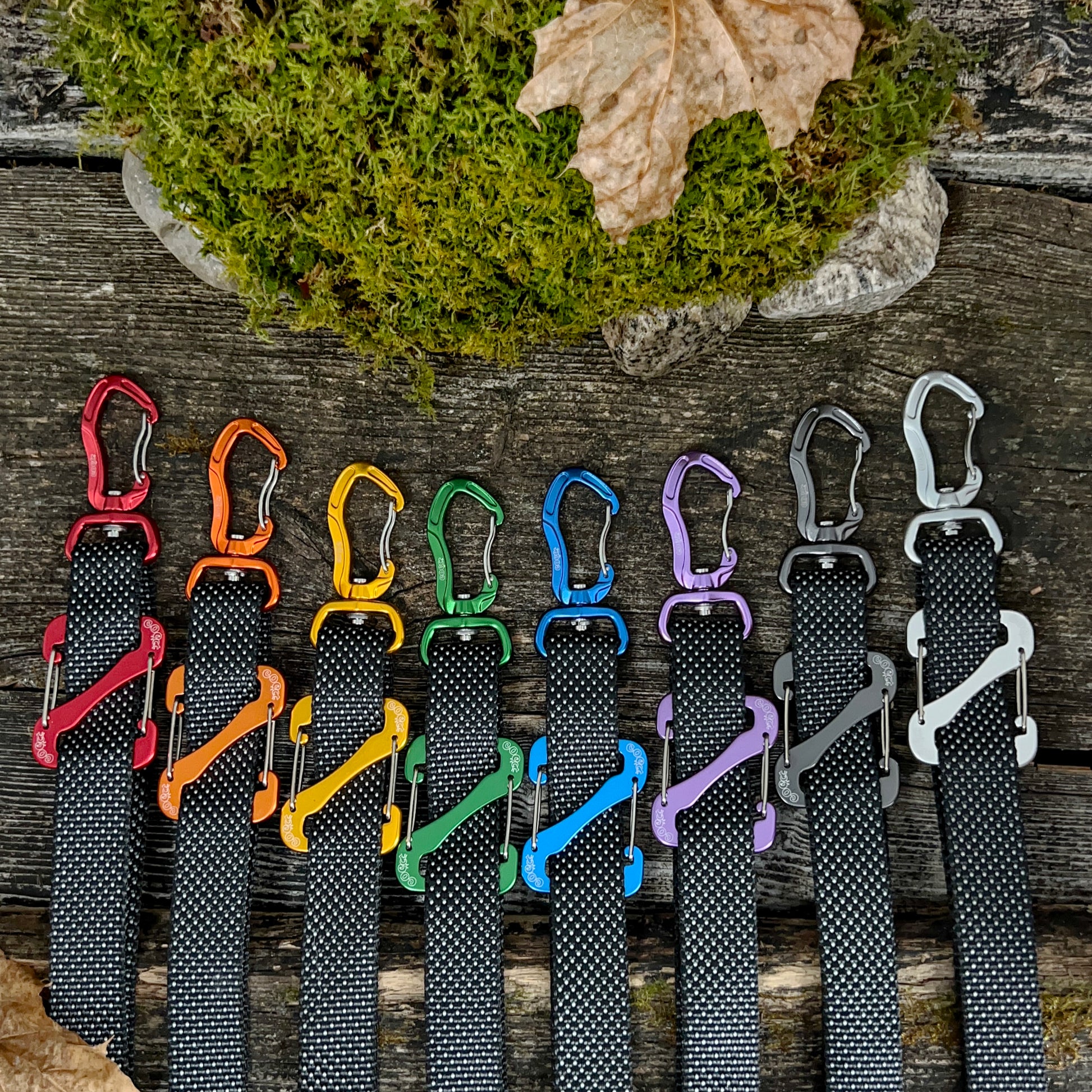 COCO webbing color black and white selection