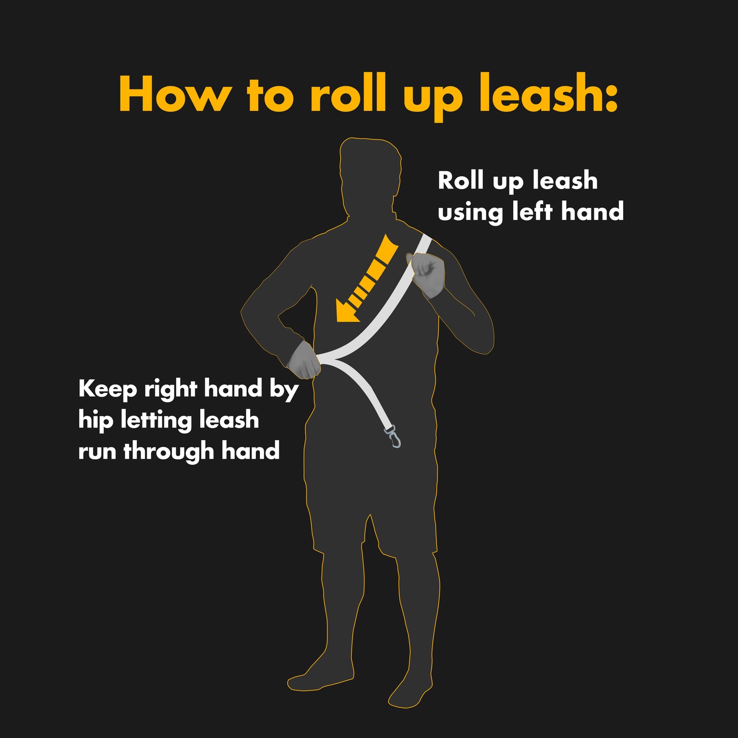 COCo Connect magnetic how to roll up leash