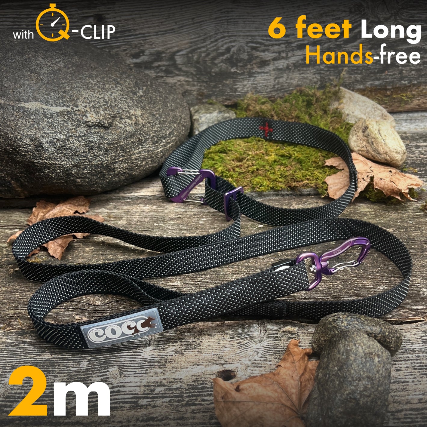 2m Classic - Bundle C - Black with Rainbow Dots
