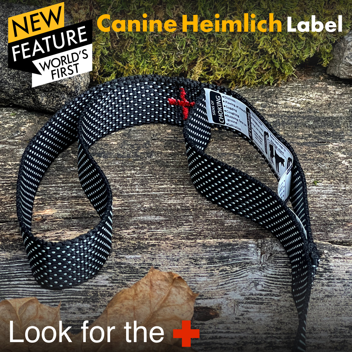 The Connect Magnetic Hands-free Leash