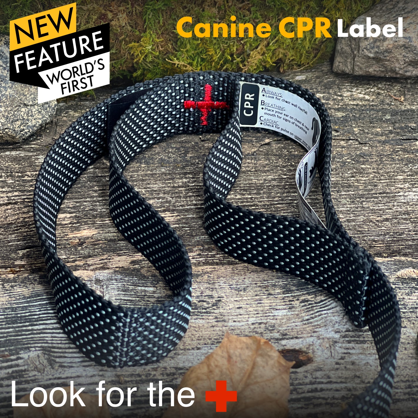 The Connect Magnetic Hands-free Leash