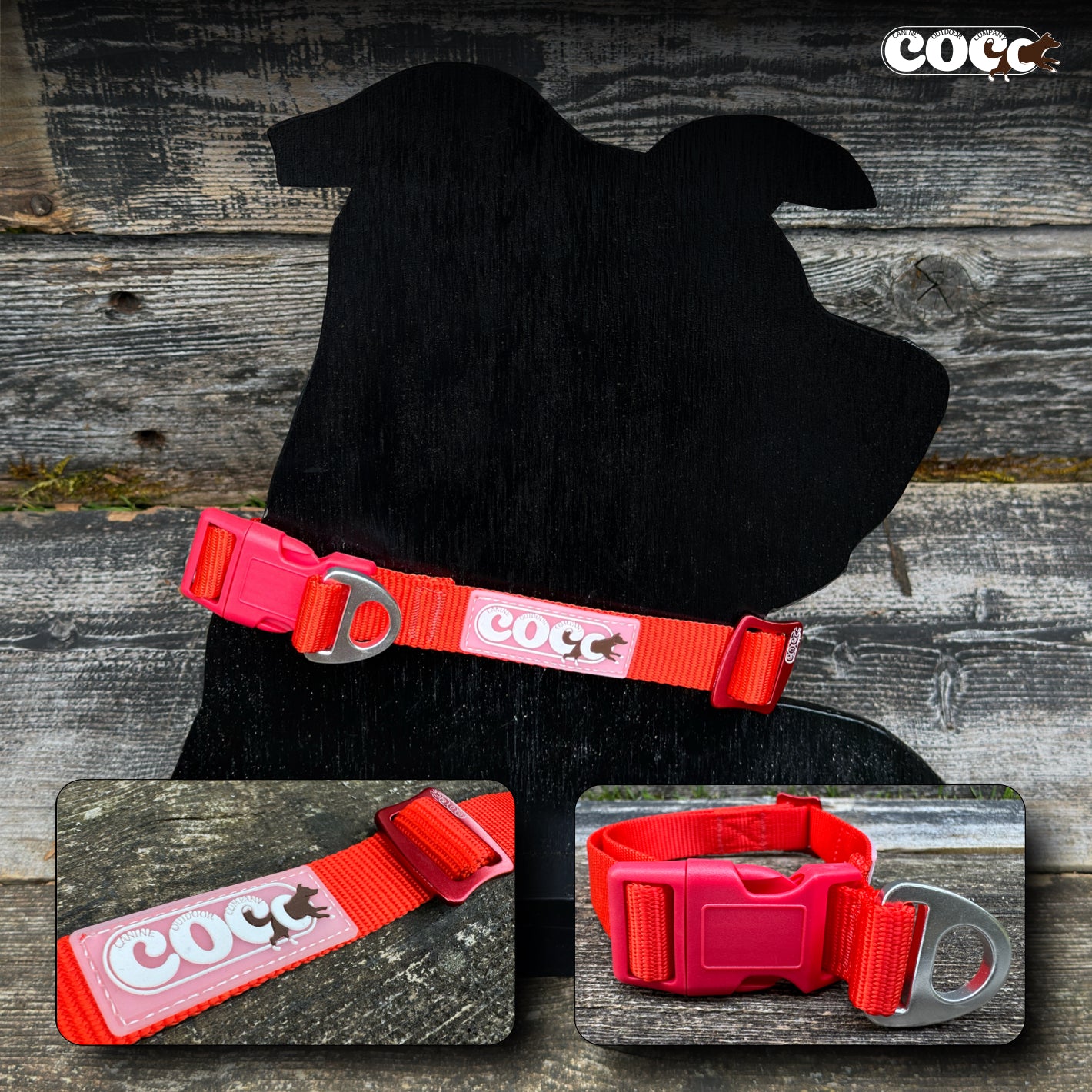 Adjustable Collar w/ Solid Colors