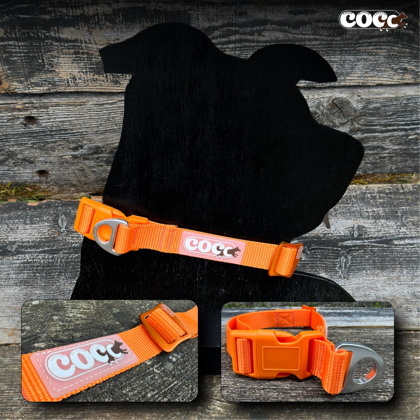 Adjustable Collar w/ Solid Colors