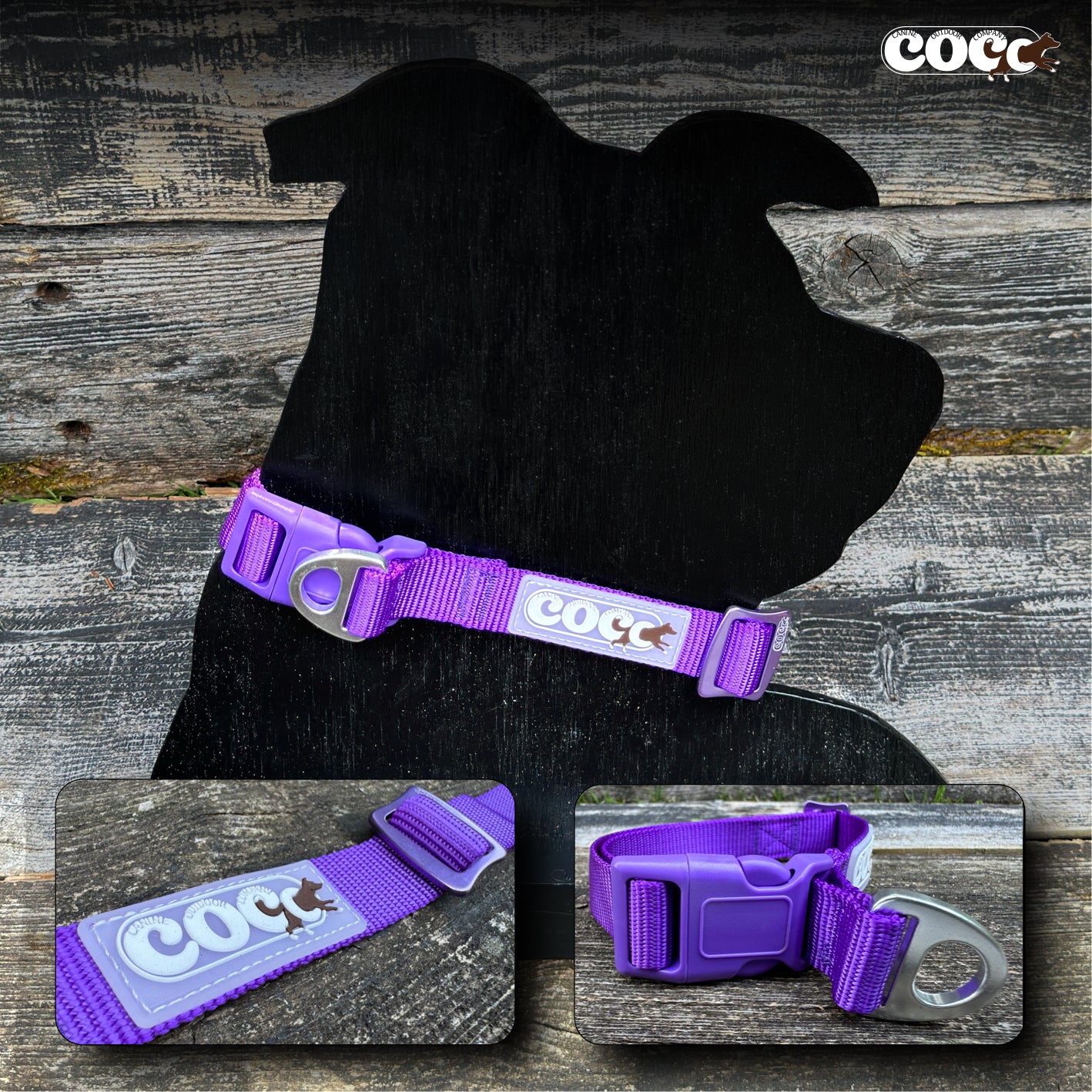 Adjustable Collar w/ Solid Colors