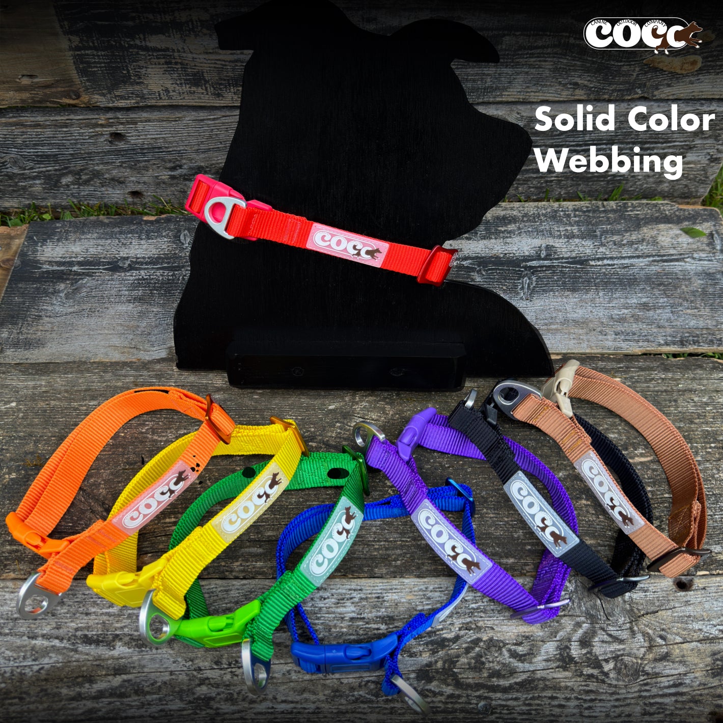 Adjustable Collar w/ Solid Colors